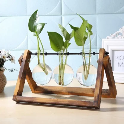 Decorative Flower Pot with Transparent Design