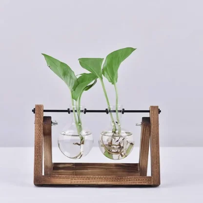 Decorative Flower Pot with Transparent Design - Image 3