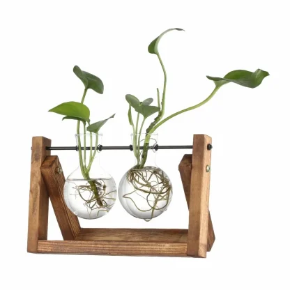 Decorative Flower Pot with Transparent Design - Image 7