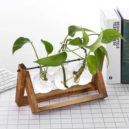 Decorative Flower Pot with Transparent Design - Image 4