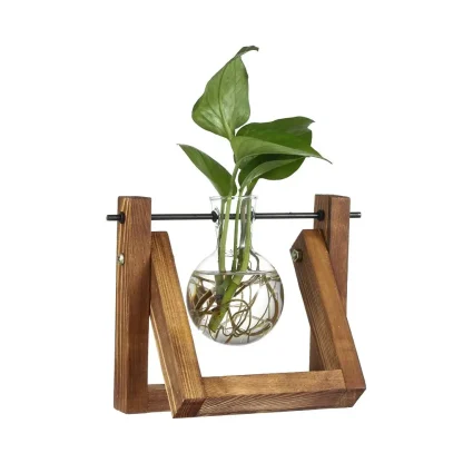 Decorative Flower Pot with Transparent Design - Image 6