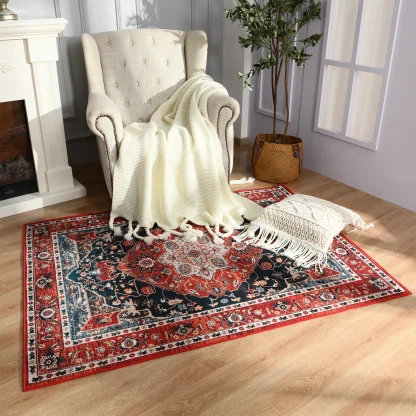 Traditional Area Rugs with Distressed Design - Image 5