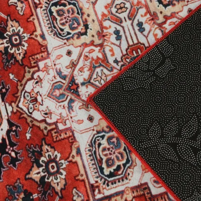Traditional Area Rugs with Distressed Design - Image 13