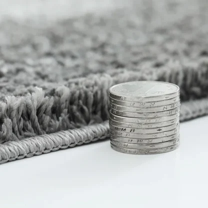 Thick Plush Floor Mat with Water Absorbent - Image 5